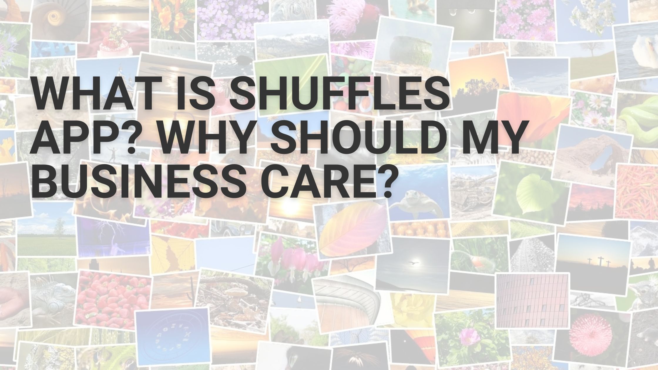 What is Shuffles App? The Digital People